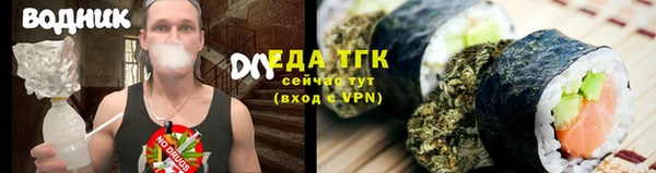 эйфоретик Аркадак