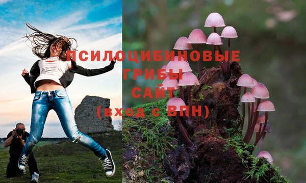а пвп мука Армянск