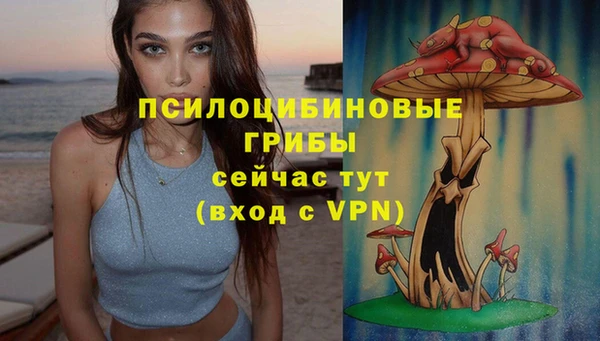 а пвп мука Армянск