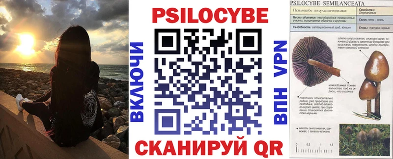 где найти наркотики  Светогорск  Галлюциногенные грибы Psilocybine cubensis 